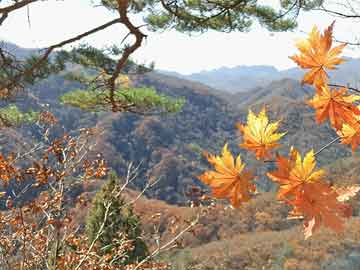 注册绑卡秒送38元彩票